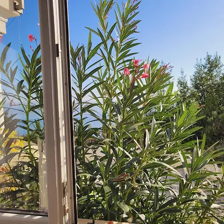 Appartement Chiara Mit Meerblick Und Pool Und Jacuzzi *