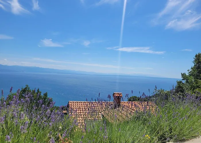 Chiara Mit Meerblick Und Pool Und Jacuzzi Apartamento Lovran